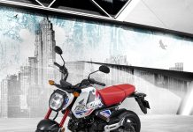 혼다코리아, 2022년식 MSX 그롬 출시